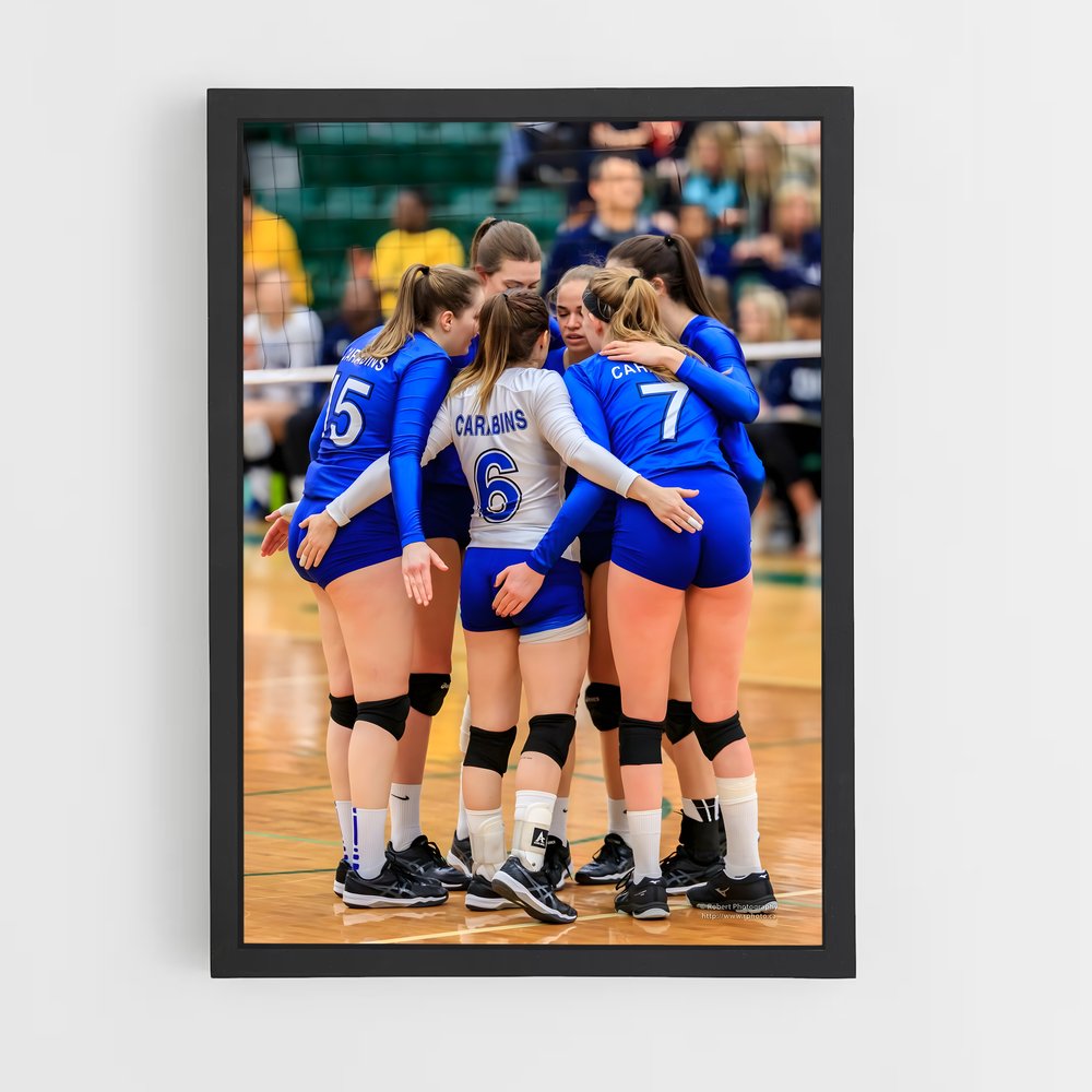 Poster Volleyball world regroupe (vue 2)